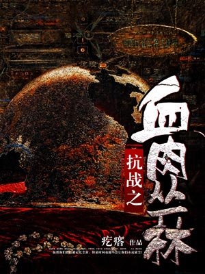 抗战之血肉丛林小说封面
